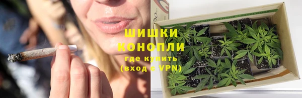 мдпв Горнозаводск
