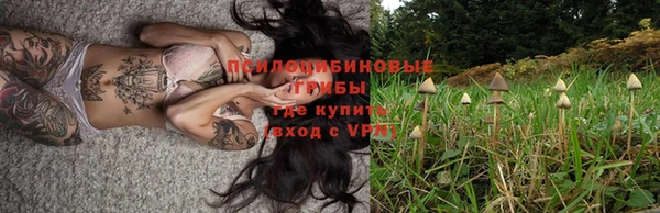 мдпв Горнозаводск